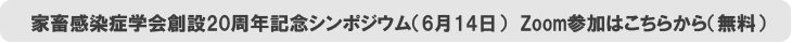 zoomQ͂炩